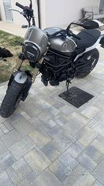 Benelli leoncino 800 xtrail