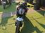 Immagine 13
