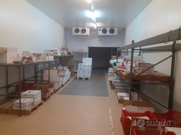 Cella Frigorifera Industriale