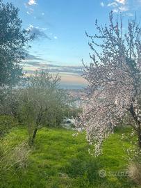 ?TERRENO PANORAMICO con vista meravigliosa