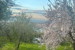 ?TERRENO PANORAMICO con vista meravigliosa