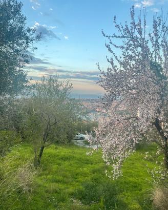 ?TERRENO PANORAMICO con vista meravigliosa