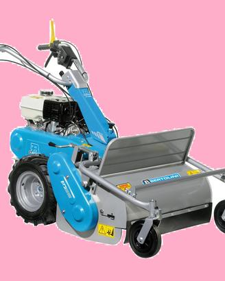 Trinciaerba bertolini bts 65 motore honda