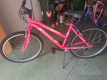 2 biciclette
