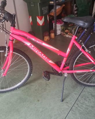 2 biciclette