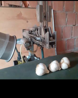 clipsatrice/ confezionatrice 