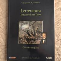 Letteratura istruzioni per l’uso “ Leopardi “