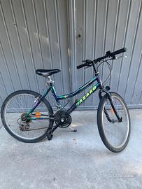 Bicicletta Hazard Vintage