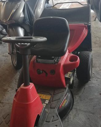 Taglia erba Minirider 60 RDE