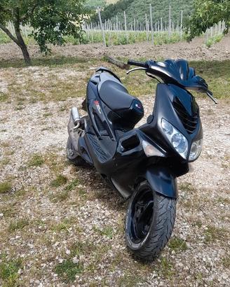 Peugeot speedfight