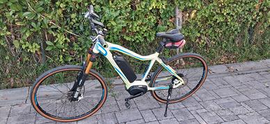 E-Bike Crussis E-Cross 250w centrale