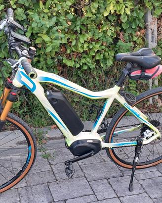 E-Bike Crussis E-Cross 250w centrale