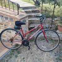 city bike 