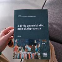 Il diritto amministrativo nella giurisprudenza.