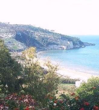 Bilocale a Peschici / Gargano