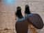 Immagine 5