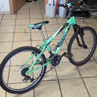 mountain bike 24"