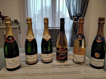 6 bottiglie di bollicine francesi Cremant