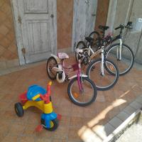 biciclette bimbo in stock