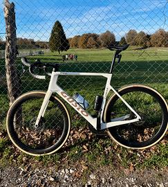 Bdc Gusto Cobra Evo XL