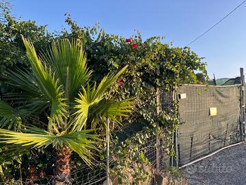 Terreno 400 mt in provincia di Catania