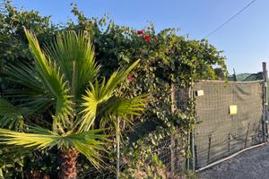 Terreno 400 mt in provincia di Catania