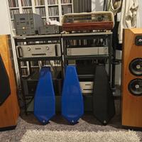 diffusori Avalon Ascendant