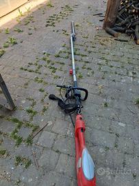 tagliasiepi
