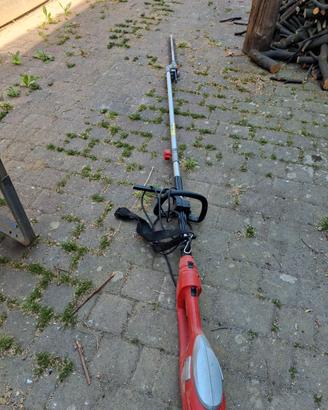 tagliasiepi