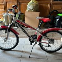 Bici Bottecchia boss 20”