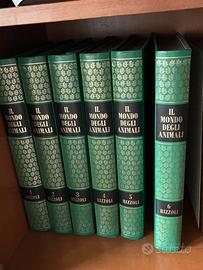 Libri