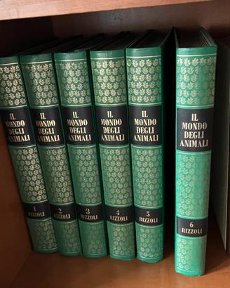 Libri