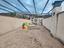 Immagine 13