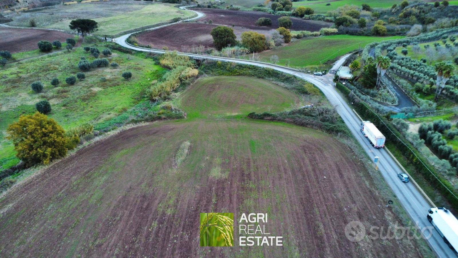 Terreno agricolo 3 HA ca. fronte strada | TR475 - Altro