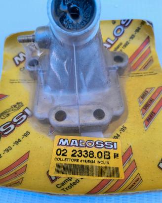 Collettore Malossi Fifty Top Morini G30