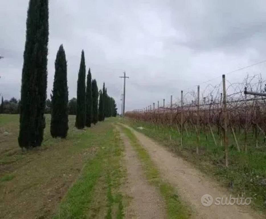Immobile in asta di 592 m² a Canosa di Puglia - Vista 2