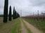 Immagine 2