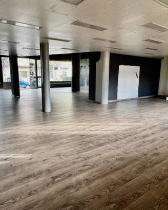Immobile di 290 m² con 1 locale a Vigliano Bielles