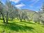 Immagine 19