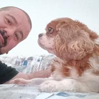 Dog sitter - Dogsitter con esperienza