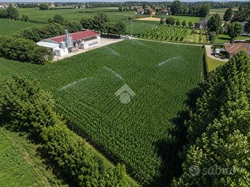 TER. AGRICOLO A ROSSANO VENETO