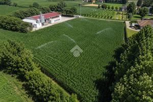 TER. AGRICOLO A ROSSANO VENETO