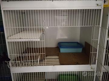 Gabbie Terenziani per cani gatti conigli