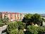 Immagine 29