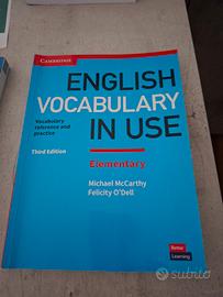 English vocabulary in use