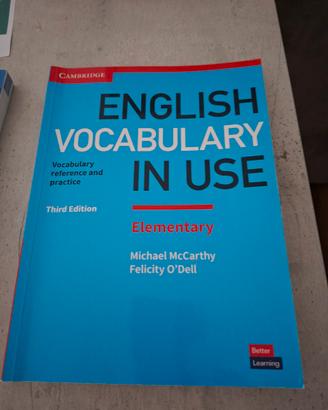 English vocabulary in use