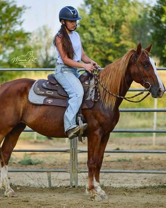 Cavallo per trekking