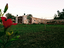 Immagine 12