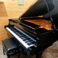 Pianoforte a coda