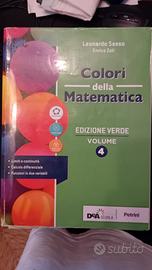 la matematica a colori edizione verde 4
